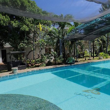 White Chocolate Hills Resort Zamboanguita  Ngoại thất bức ảnh